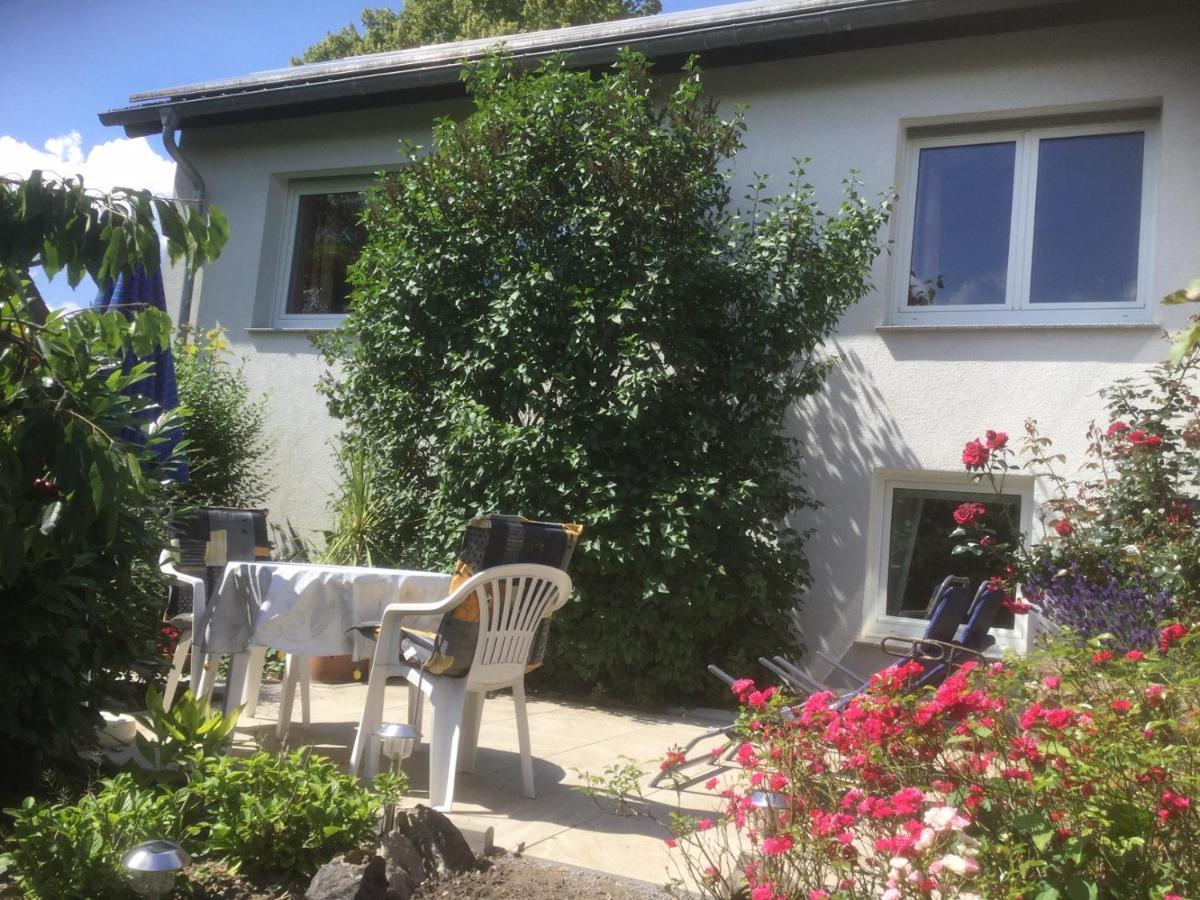 Ferienhaus Moock Horn-Bad Meinberg Zewnętrze zdjęcie